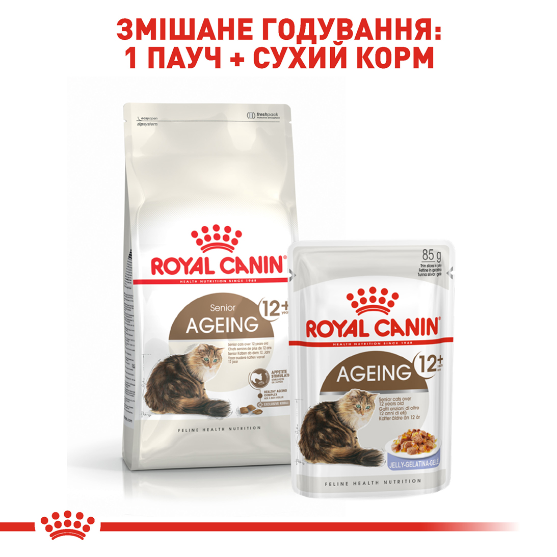 Royal Canin Ageing 12 2