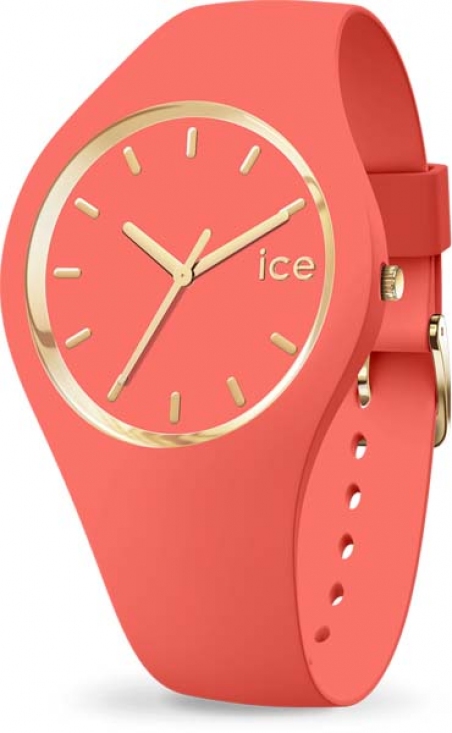 

Женские часы Ice-Watch 017058
