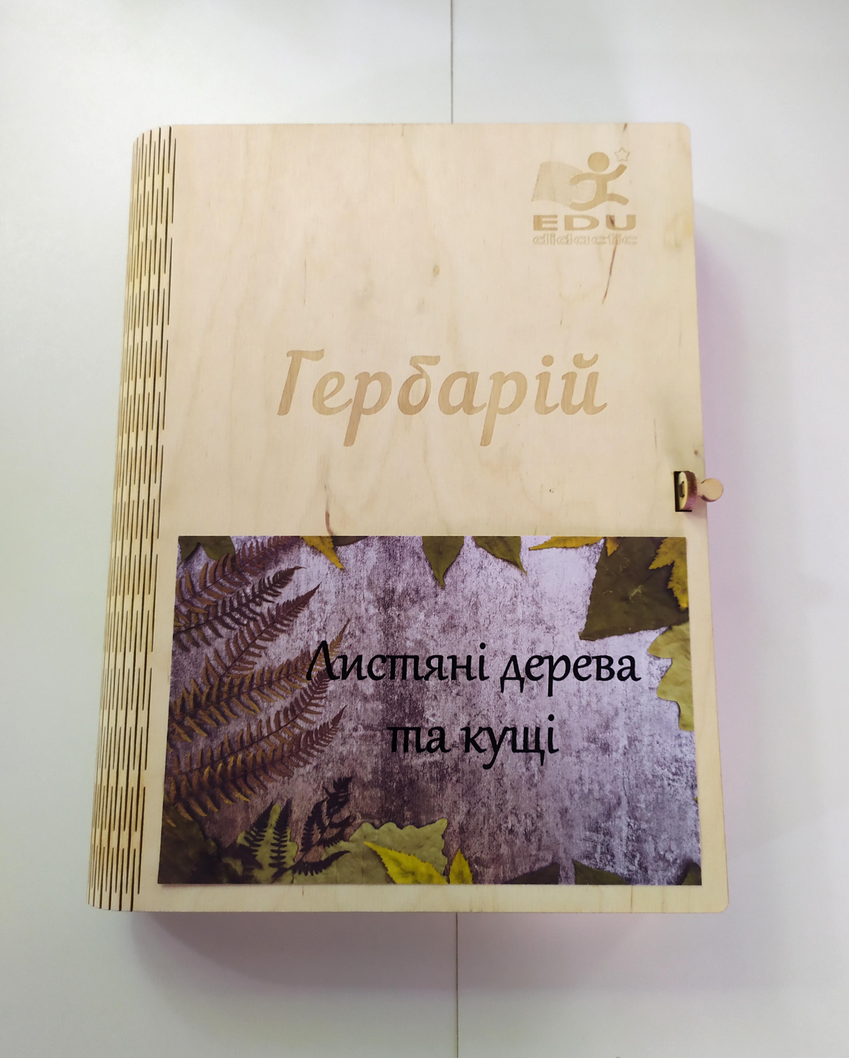 

Гербарий Лиственные деревья и кустарники EDU Multicolored