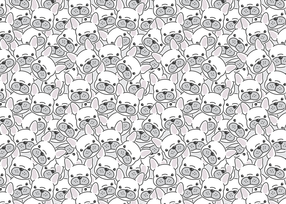 

Фотообои Детские 'Мопсы' (5404) , Классик