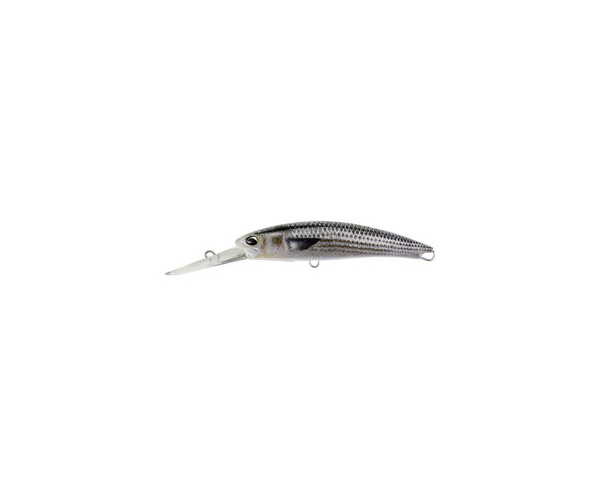 

Воблер DUO Realis Fangbait 120DR R SW 120mm 27.5g DST0804 Mullet ND (арт.1234343033)