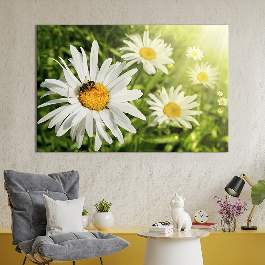 Картина на холсте интерьерная картина Солнечные ромашки 51x34 см (229-1 ...