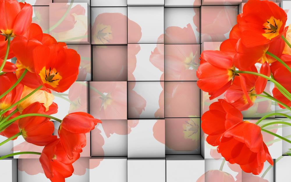 

Фотообои Цветы 'Маки' (5586) , Кожа