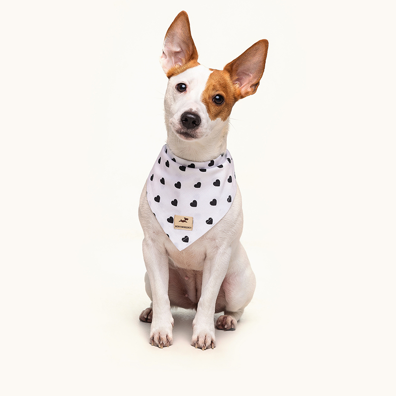 

Бандана для собак Montmorency Venus Белая L