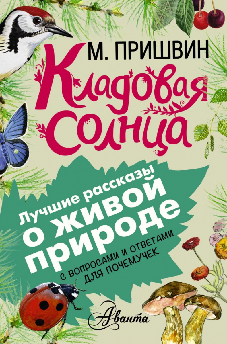 

Кладовая солнца