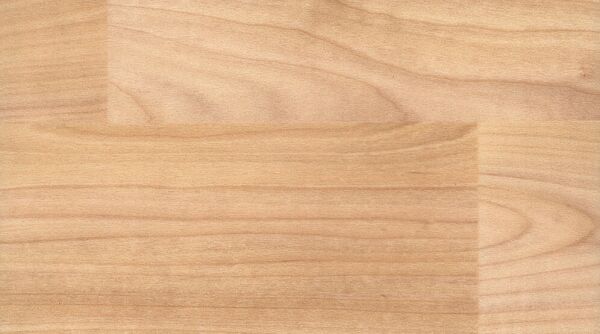 

Спортивный Линолеум Gerflor Taraflex Sport Performance Wood 6350 Light Cherry Design