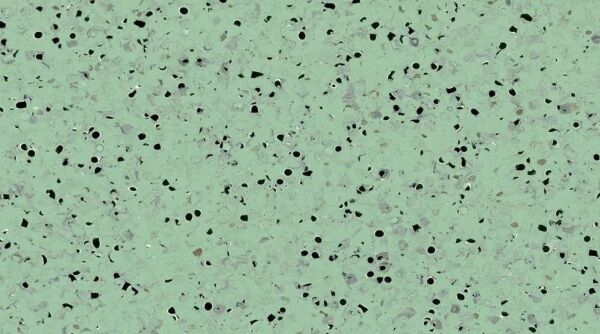 

Токопроводящий линолеум Gerflor Mipolam Elegance EL5 0355 Green