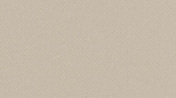 

Линолеум Gerflor Taralay Impression Leather 0845 Greige