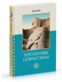

Перспективы Сатипаттханы