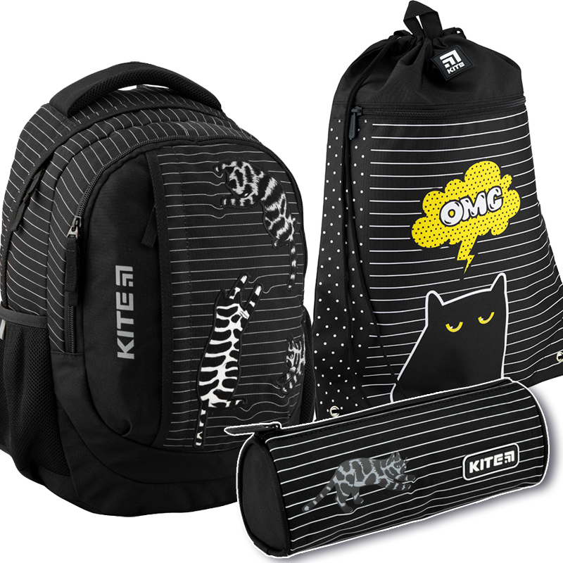 

Рюкзак укомплектованный Kite Education 19л (SET_K20-855M-3)