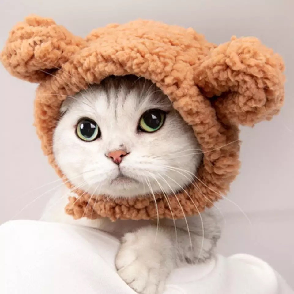 Новогодняя шапочка для собак и кошек колпак