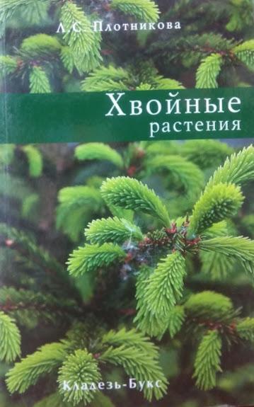 

Хвойные растения. Плотникова Л.