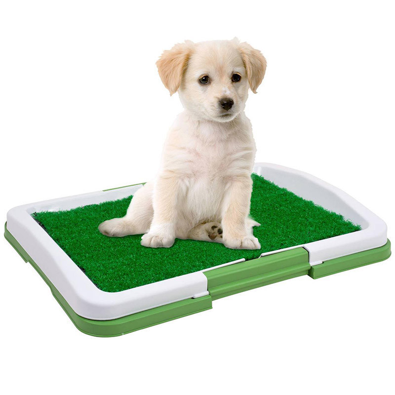 

Лоток для щенков Puppy Potty Pad горшок трава верхний слой “травка”задерживает неприятные запахи