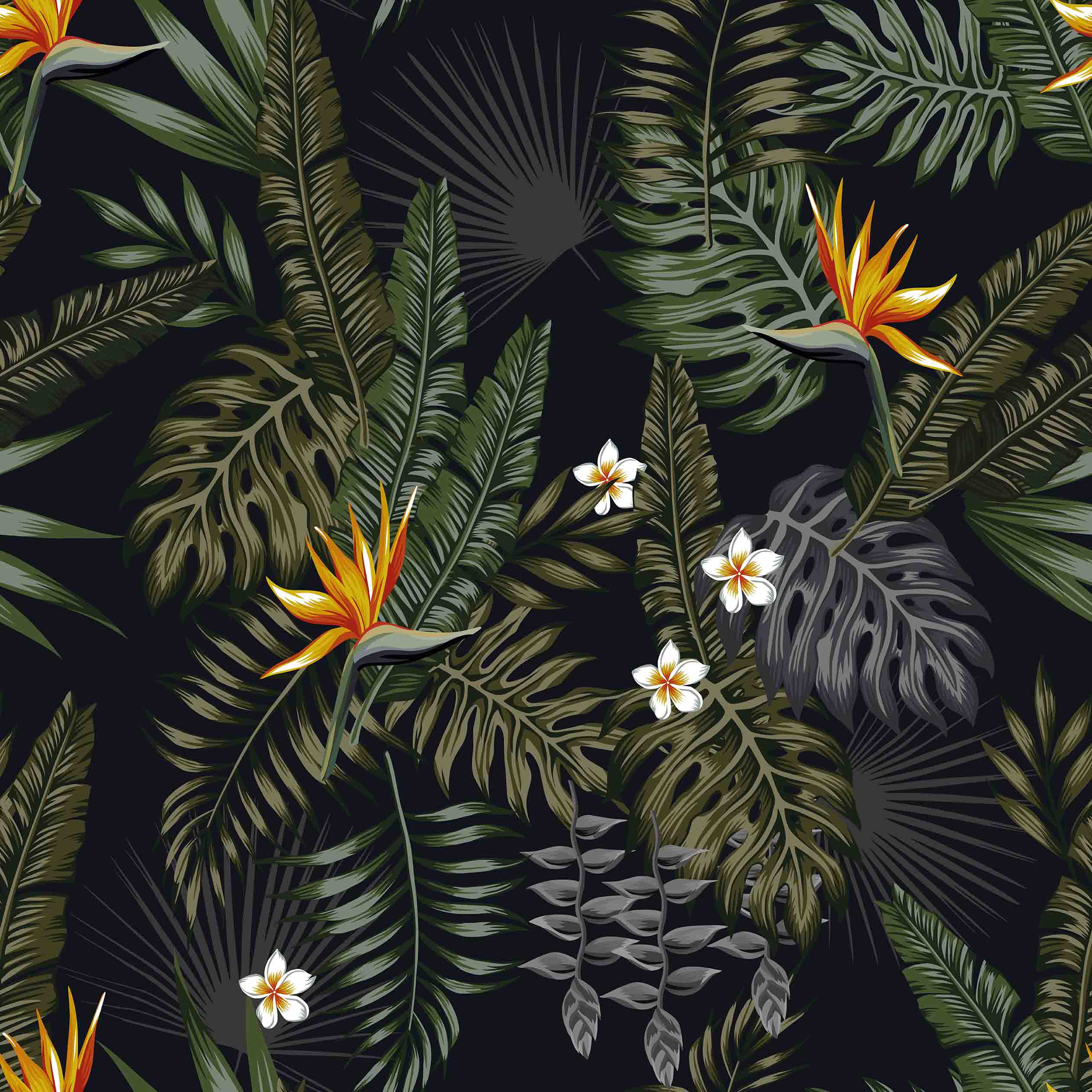 Tropical background