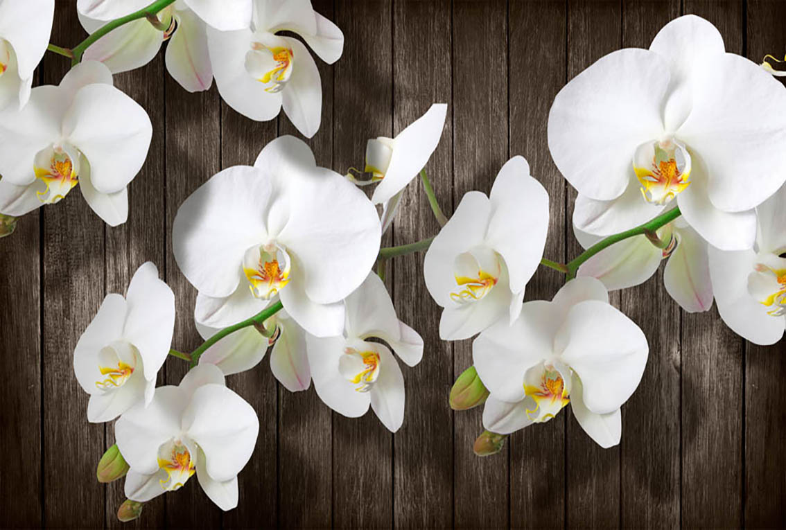 

Фотообои WS Wallpaper Орхидеи на деревянной стене 392*270 (31376) Сатин