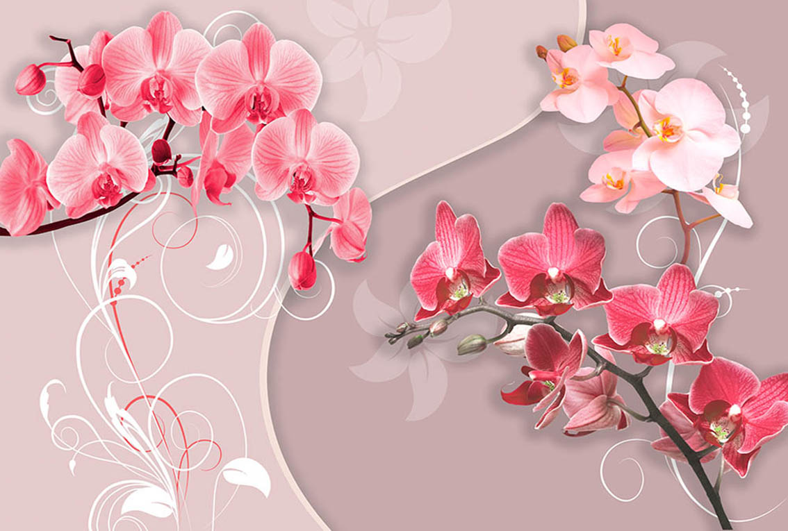 

Фотообои WS Wallpaper Розовые орхидеи 392*270 (31332) Флора