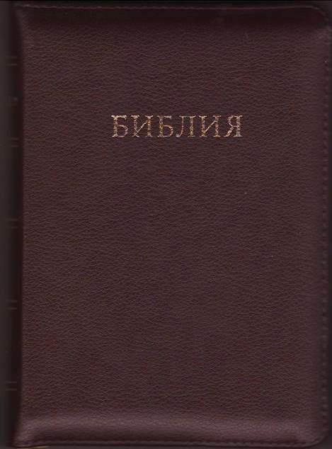 

Библия средняя Синодальный перевод в кожаном переплете на змейке (11545.1)