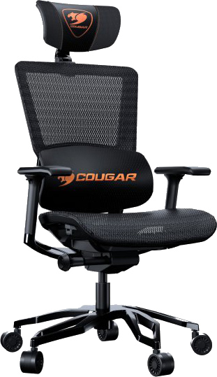 

Кресло для геймеров Cougar Argo Black