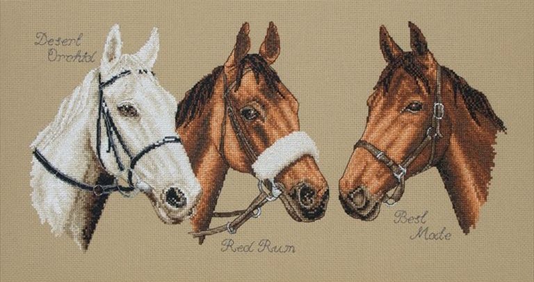 

Набір для вишивання "Чемпиони (Three Champions)" Anchor PCE731