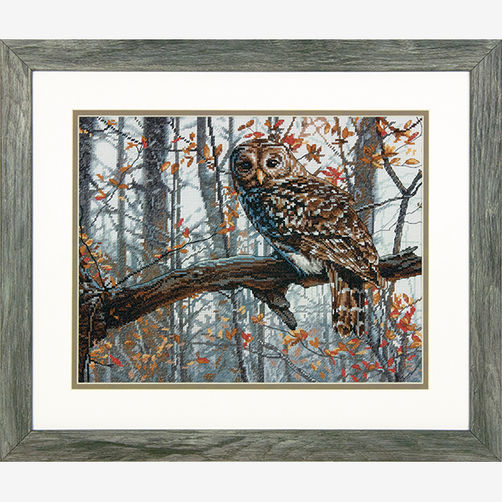 

Набір для вишивання хрестиком "Мудра сова//Wise Owl" DIMENSIONS 70-35311