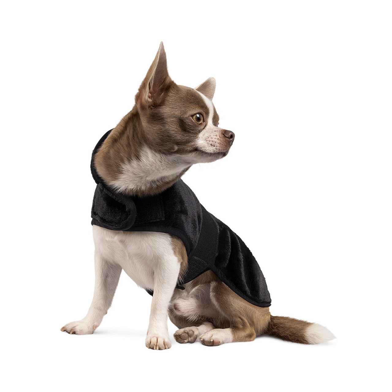 

Попона BLANKET Pet Fashion для собак черный, M