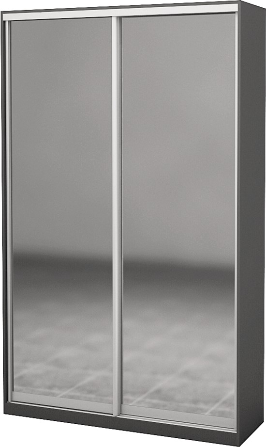 

Шкаф-купе двухдверный Roko 120х242х45 см Зеркало Серый