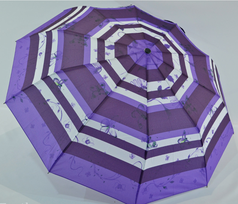 

Женский зонт полу-автомат "Nature" SL анти-ветер 10 спиц Фиолетовый (SL477-2-4)