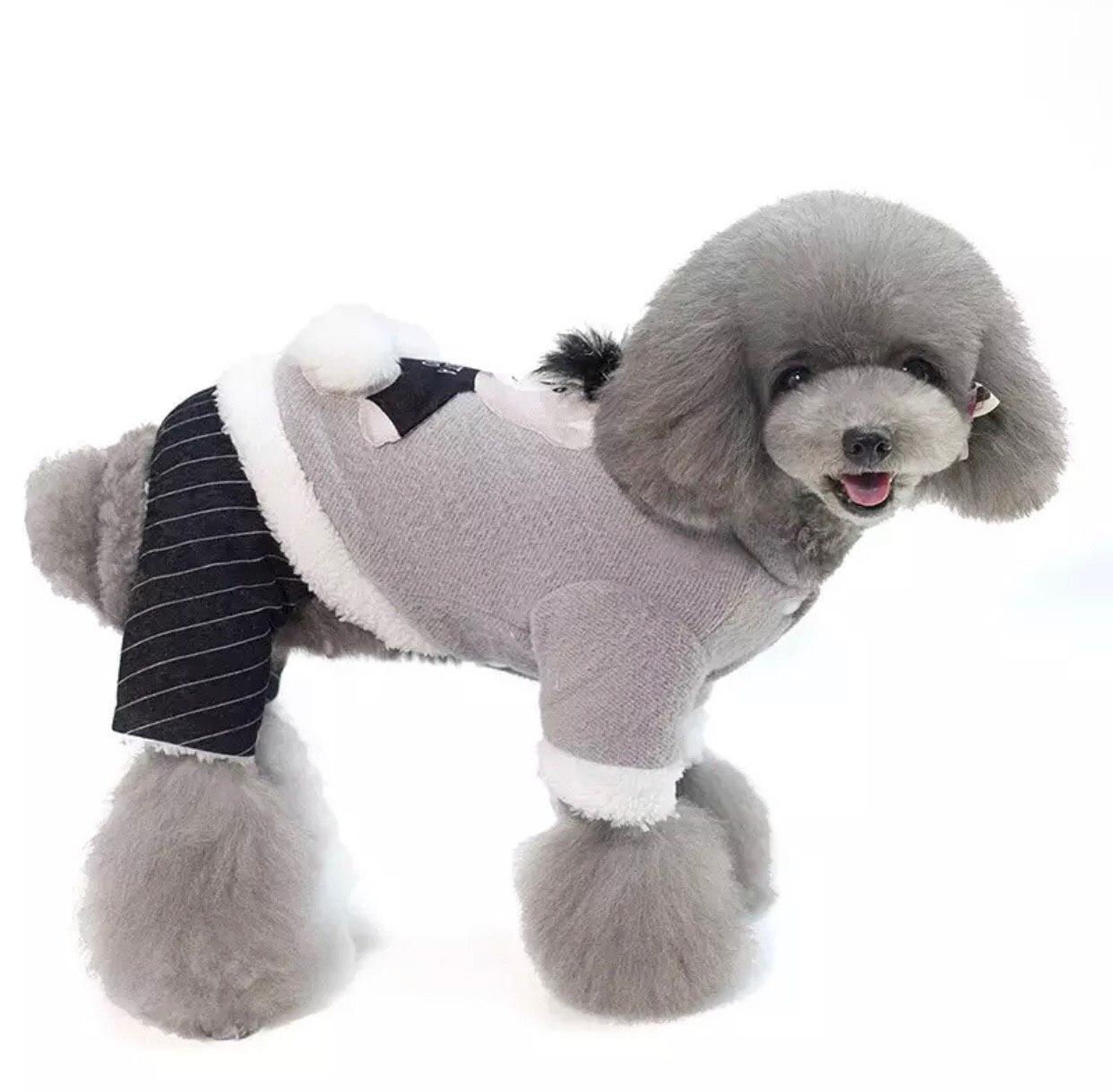 

Комбинезон для собак Dog Baby Teddy M Grey