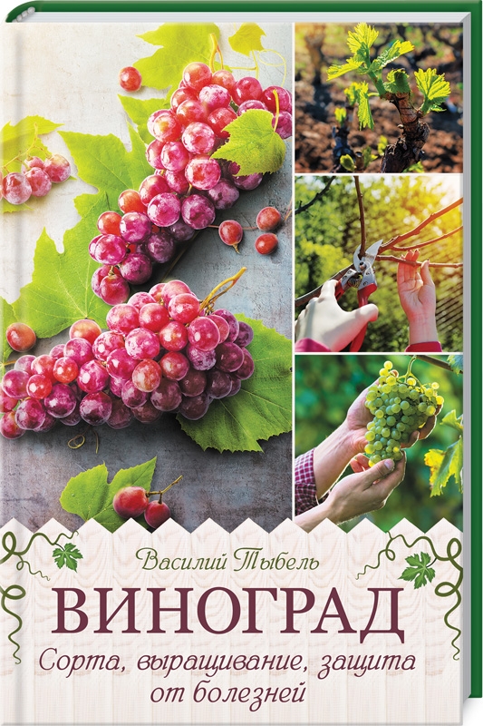 

Виноград. Сорта, выращивание, защита от болезней - В. Тыбель (54526)