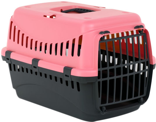 

Контейнер-переноска для собак и кошек Bergamo GIPSY 1 small пластиковая дверь 46x31x32 см до 6 кг Коралл