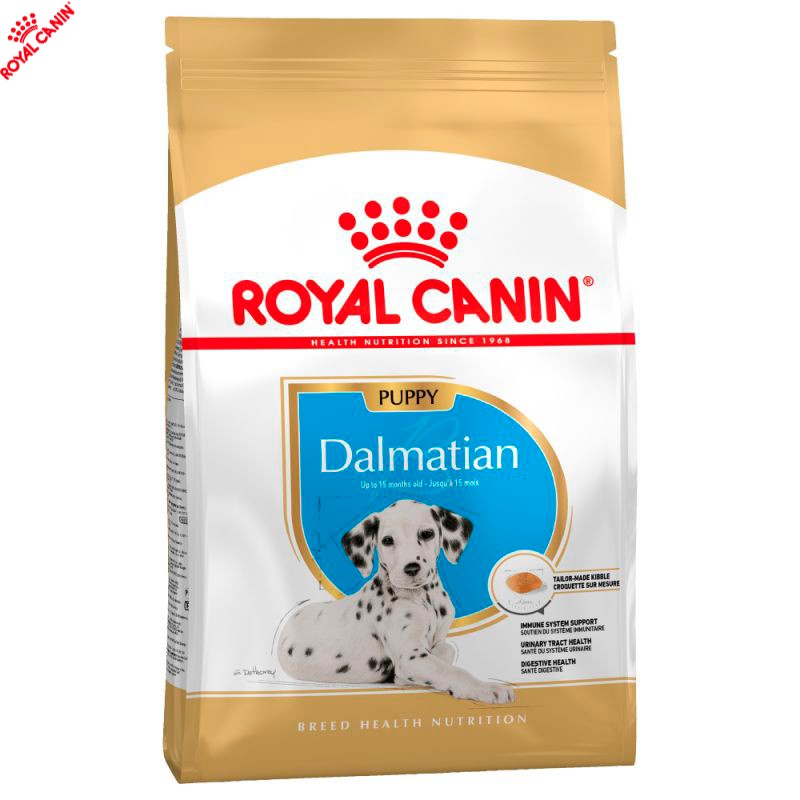 Dalmatian on sale royal canin