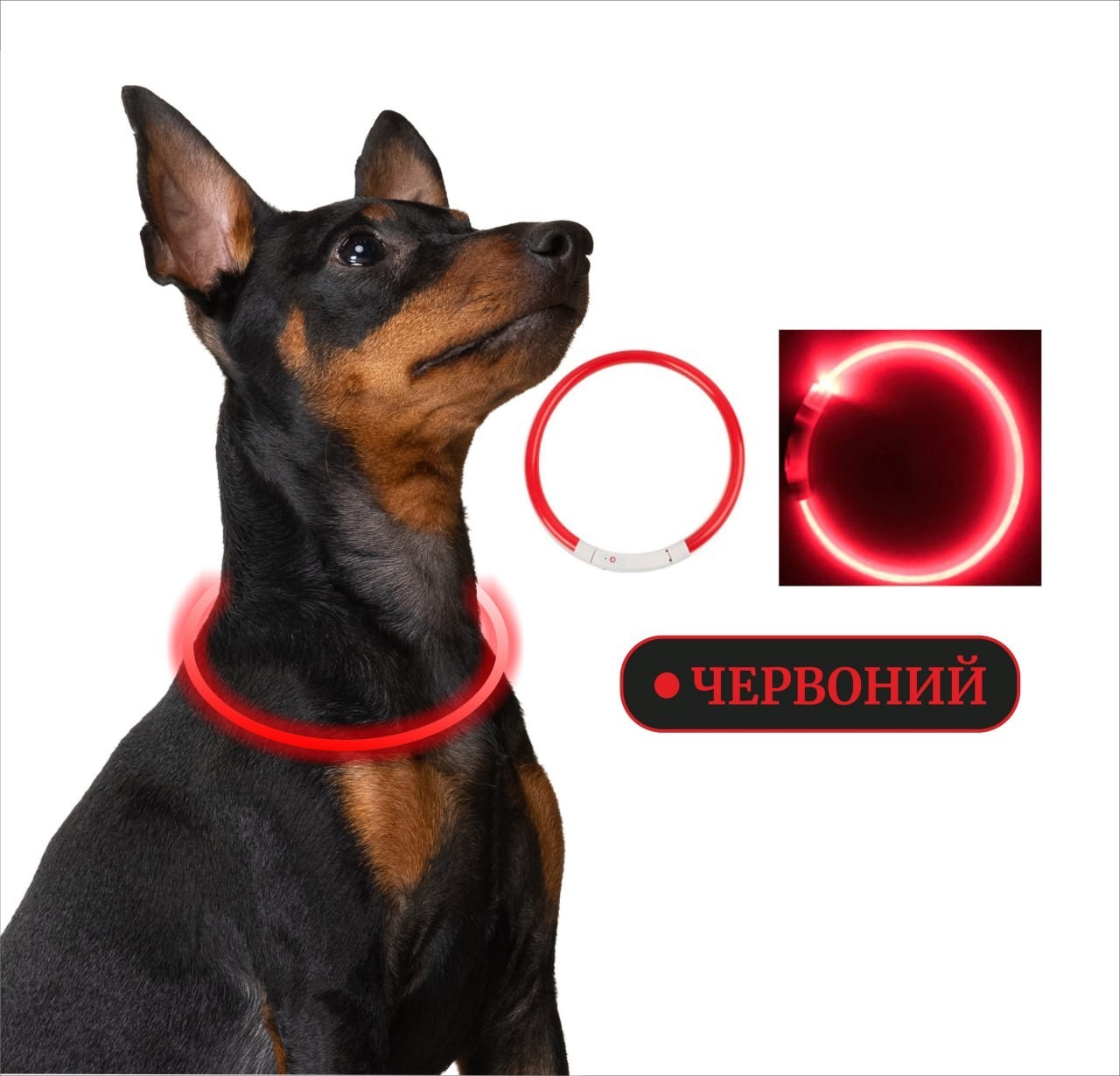 Кожаный ошейник BranniPets - Toy Juno coral, XS 16-21 см, ш: 1.3 см