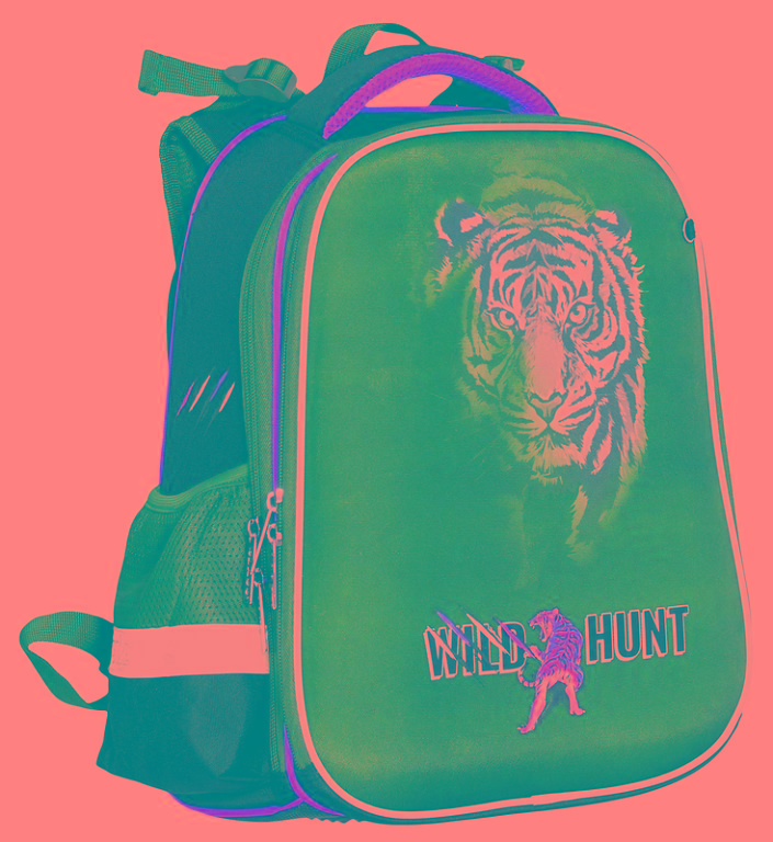 

Ранець-ЧЕРЕПАШ. "CLASS" /2026С/ "Tiger", 2 відд., 39*28*21см (1/4)