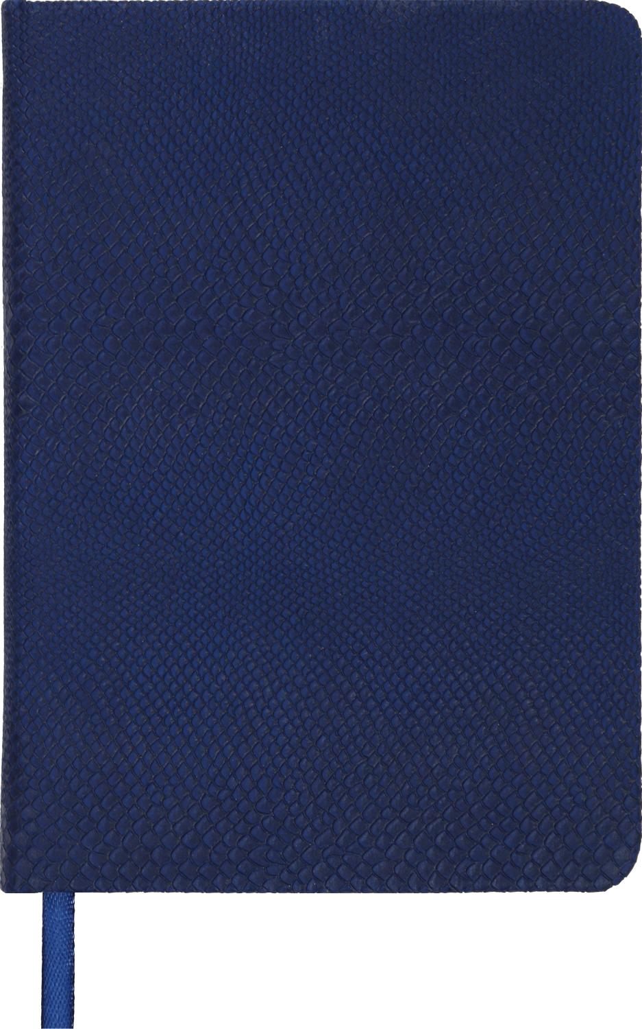 

Ежедневник недатированный Buromax Amazonia А6 из искусственной кожи 288 с. L2U Синий (BM.2612-02)