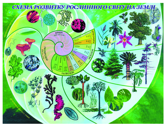 Схема развития растительного мира земли