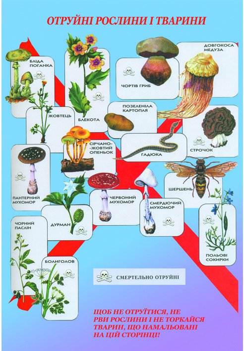 

Плакат "Отруйні рослини і тварини" Навчальне Обладнання