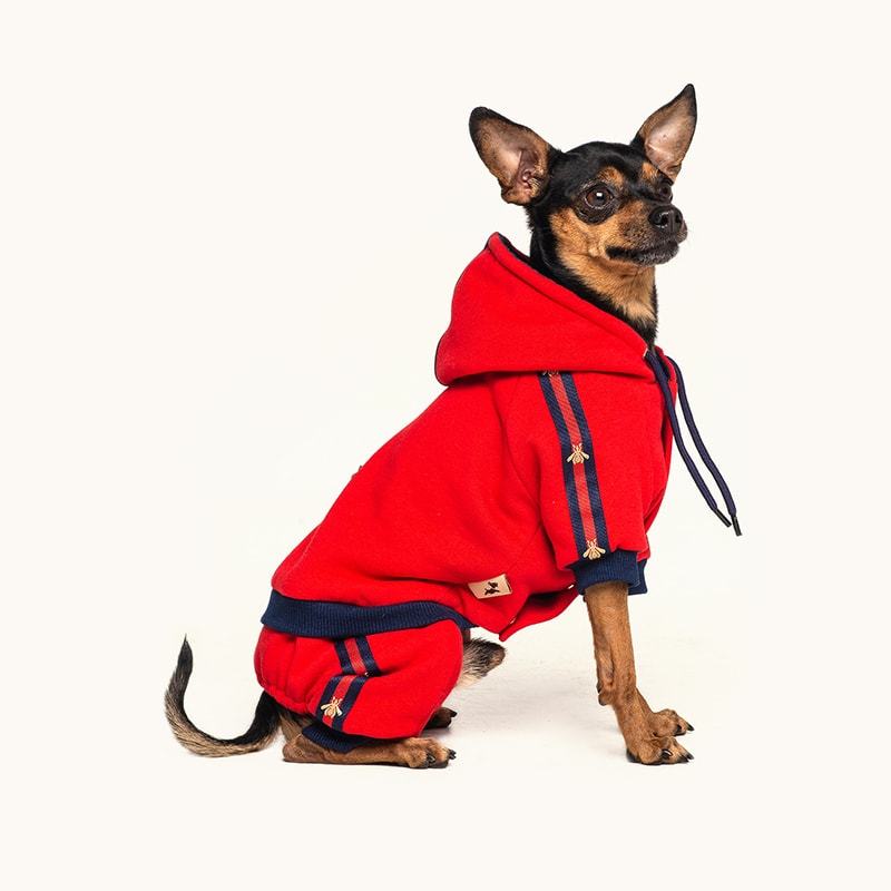 

Спортивный комбинезон для собак Montmorency By Gucci Красный (GS-006-SA)