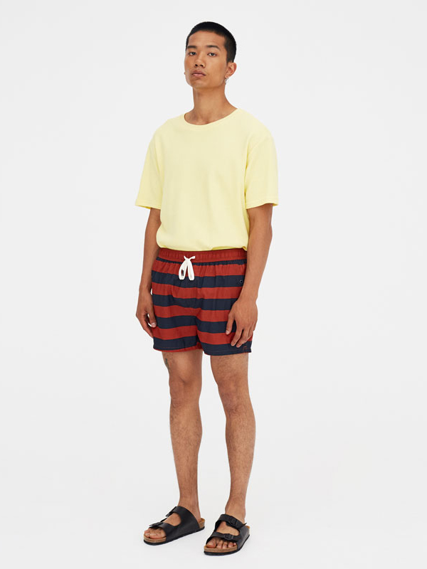 

Шорты пляжные Pull & Bear 5800-506-615 L Синие с коричневым
