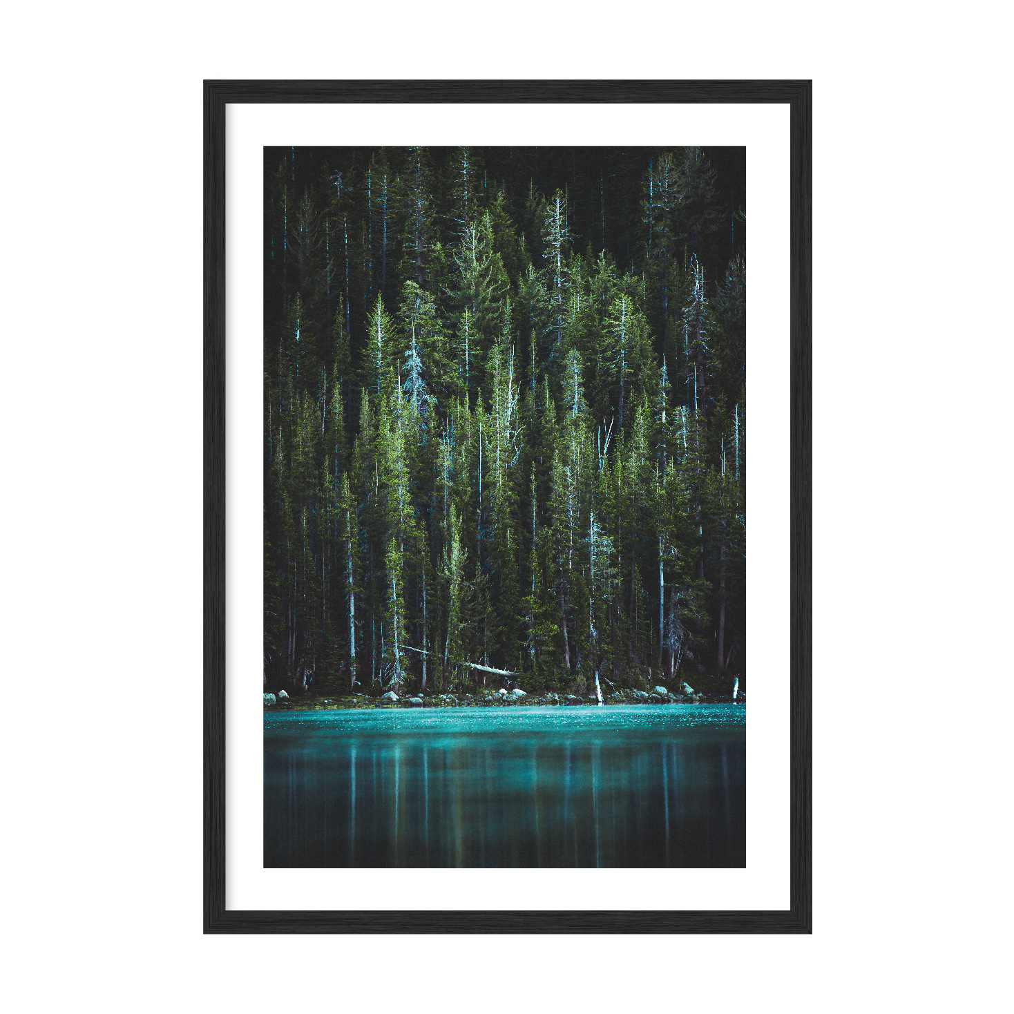 

Постер "Forest" с антибликовым стеклом 297x420 мм в чёрной рамке