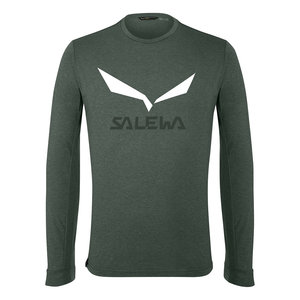 

Футболка Salewa Solidlogo Dry L/S Tee Mns S Зеленый