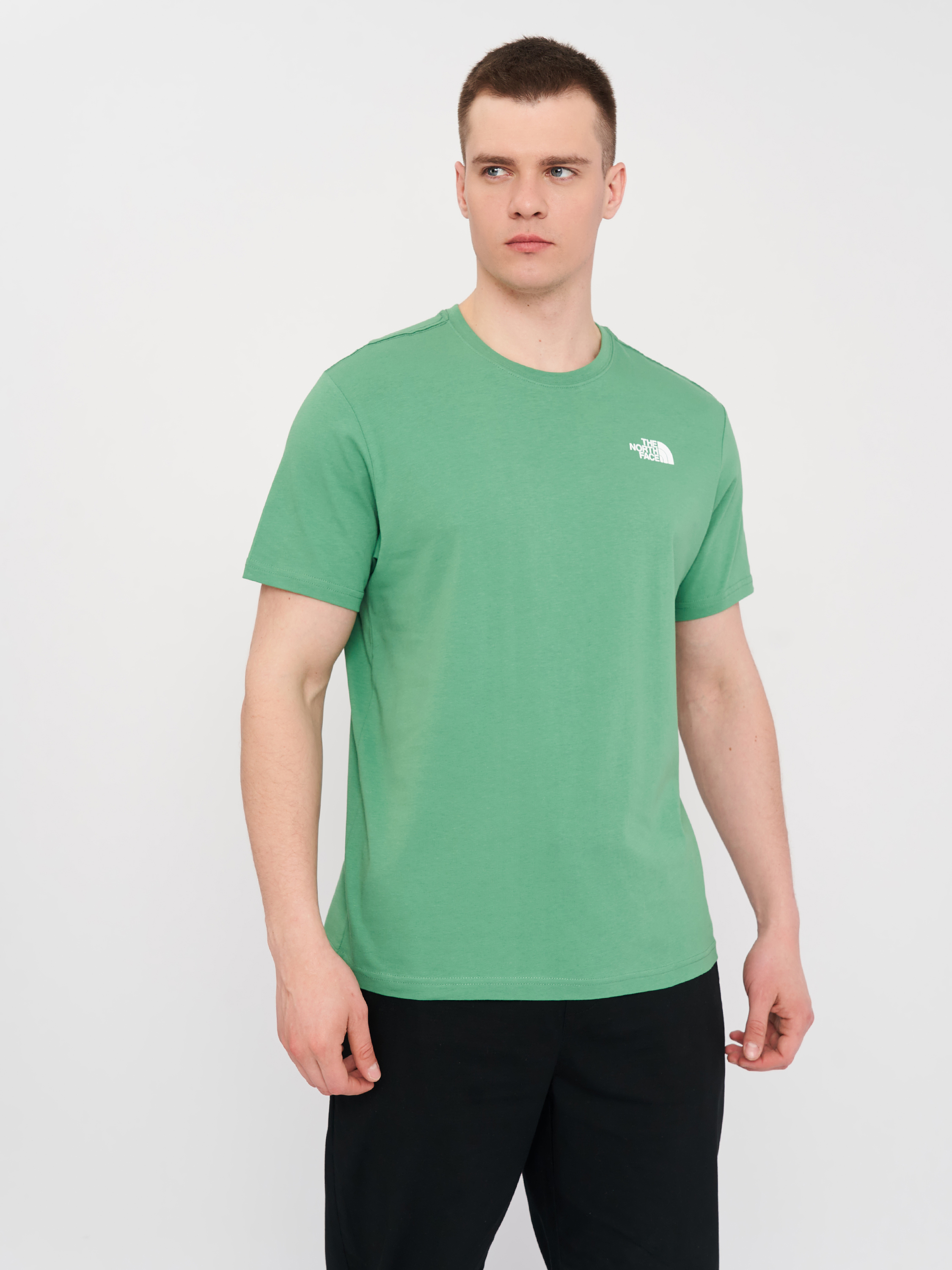 Футболка The North Face NF0A2TX2N111 M Зелена (196249657058) – в ...
