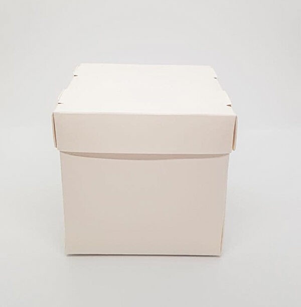 Коробка (упаковка) EcoBox для бургера 11х11х11 см – фото, отзывы ...