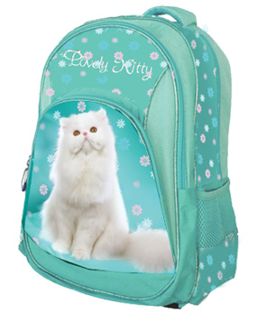 

Ранец -рюкзак CLASS "Lovely Kitty", 2 отделения, 38*29*13cm ,420D PL,бирюз.,9426