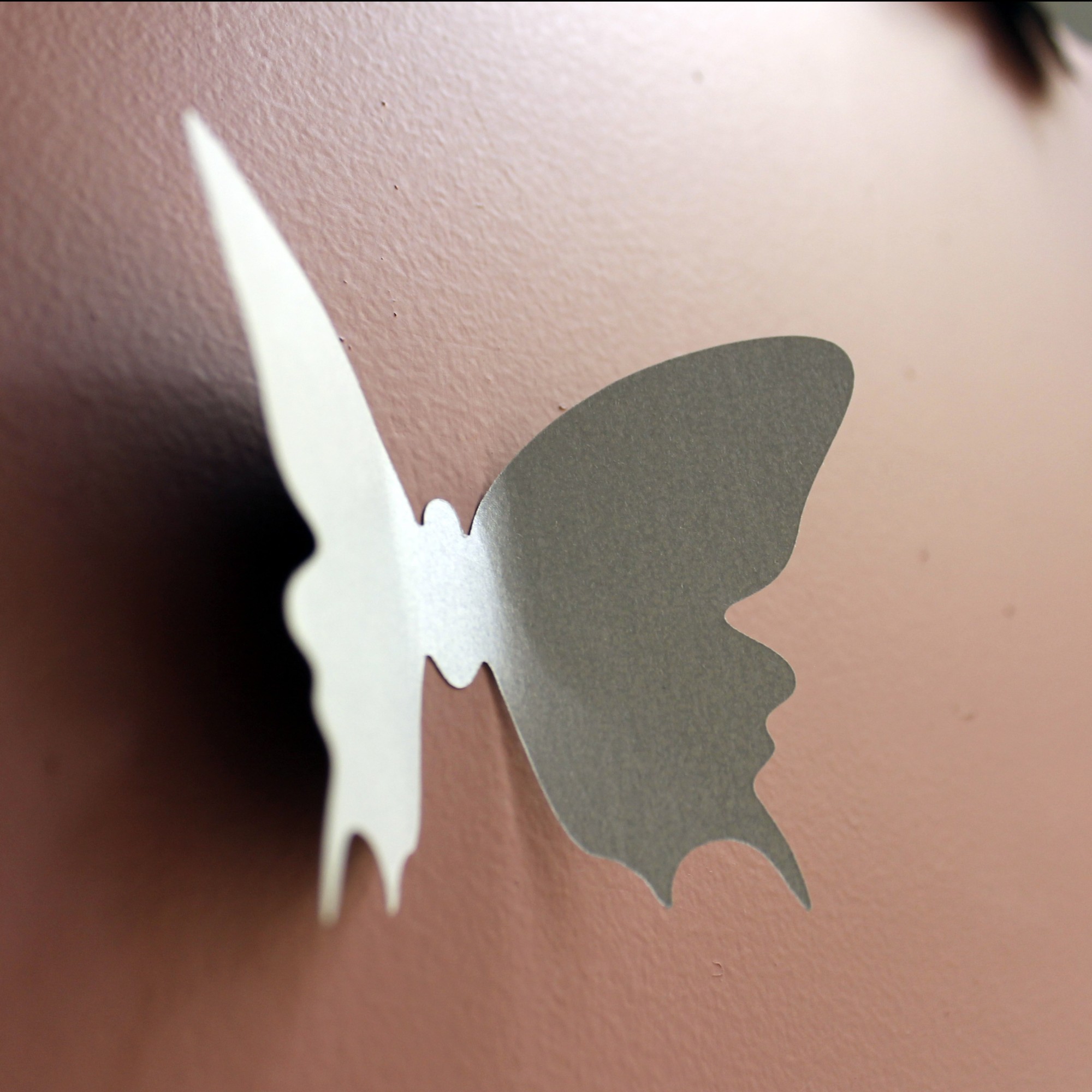 Декор бабочками на стене: делаем своими руками | luchistii-sudak.ru