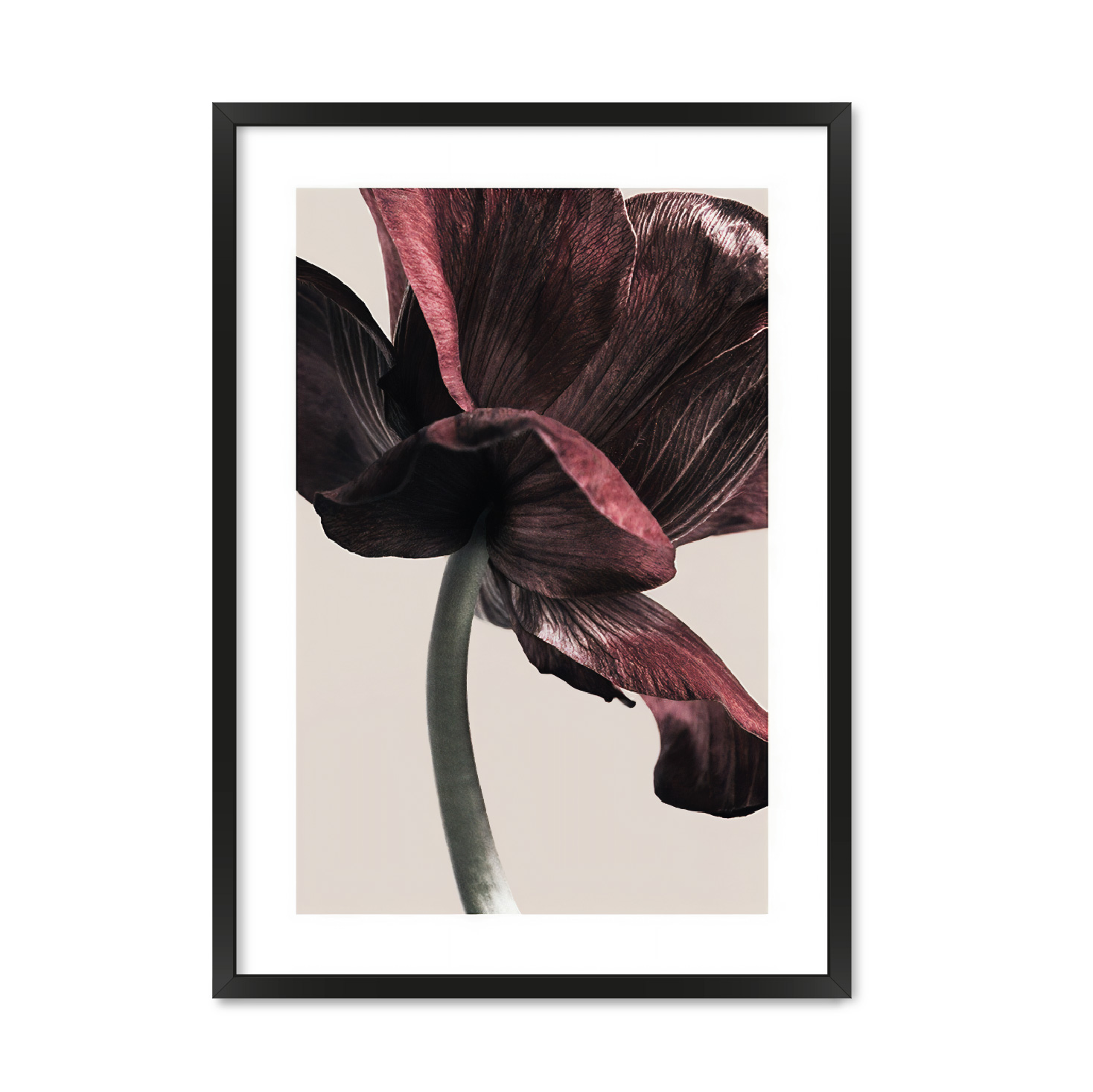 

Постер "EARTH FLOWER #" с антибликовым стеклом 297x420 мм в чёрной рамке
