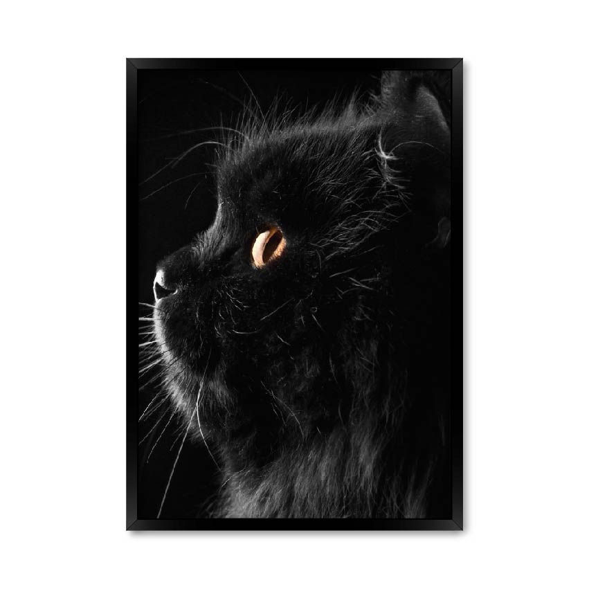 

Постер "Black cat" без стекла 420x594 мм в чёрной рамке