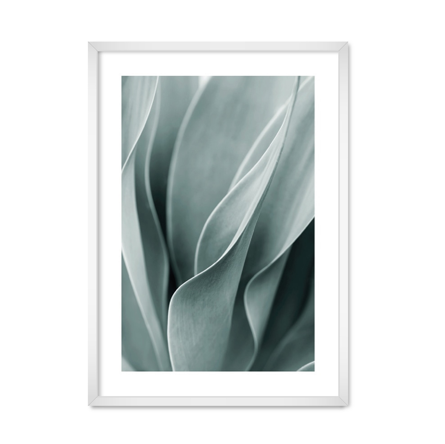 

Постер "Simply Flower" без стекла 596x840 мм в белой рамке