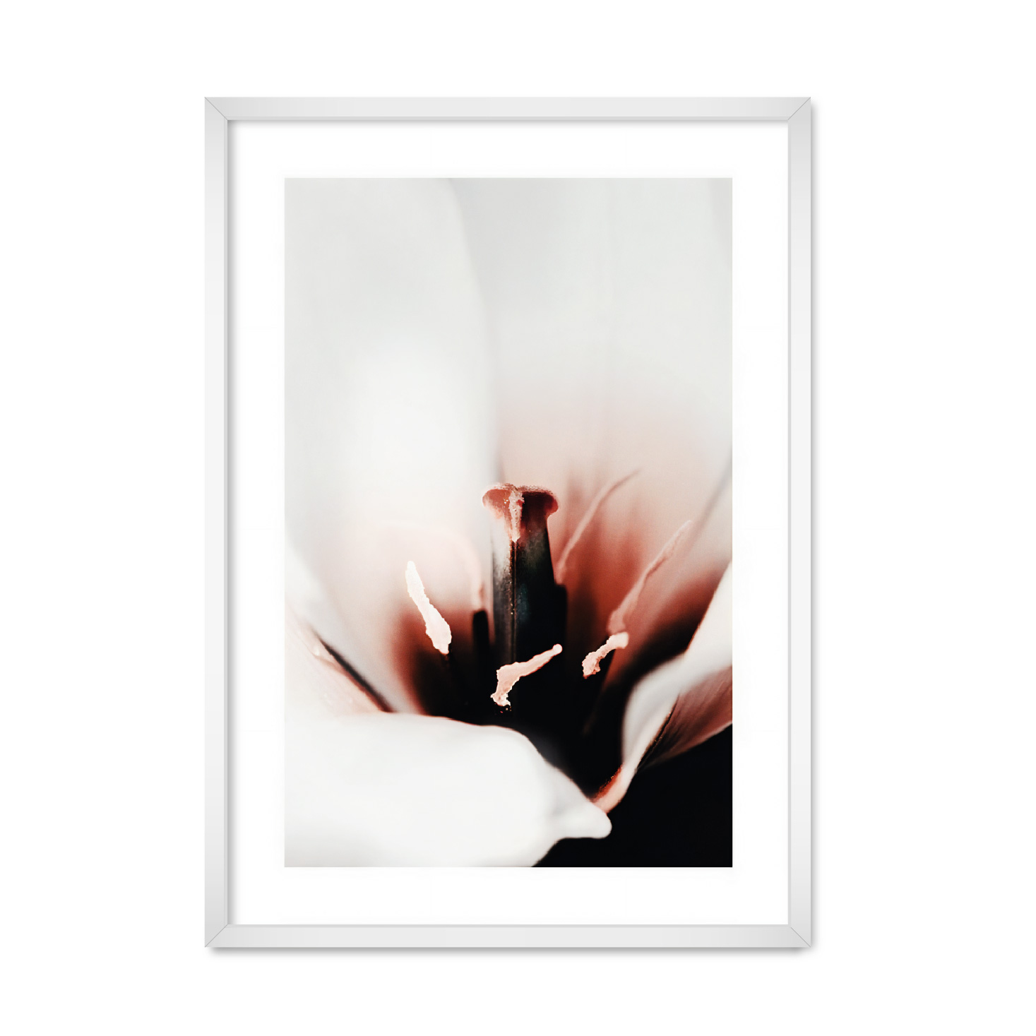 

Постер "EARTH FLOWER" без стекла 596x840 мм в белой рамке