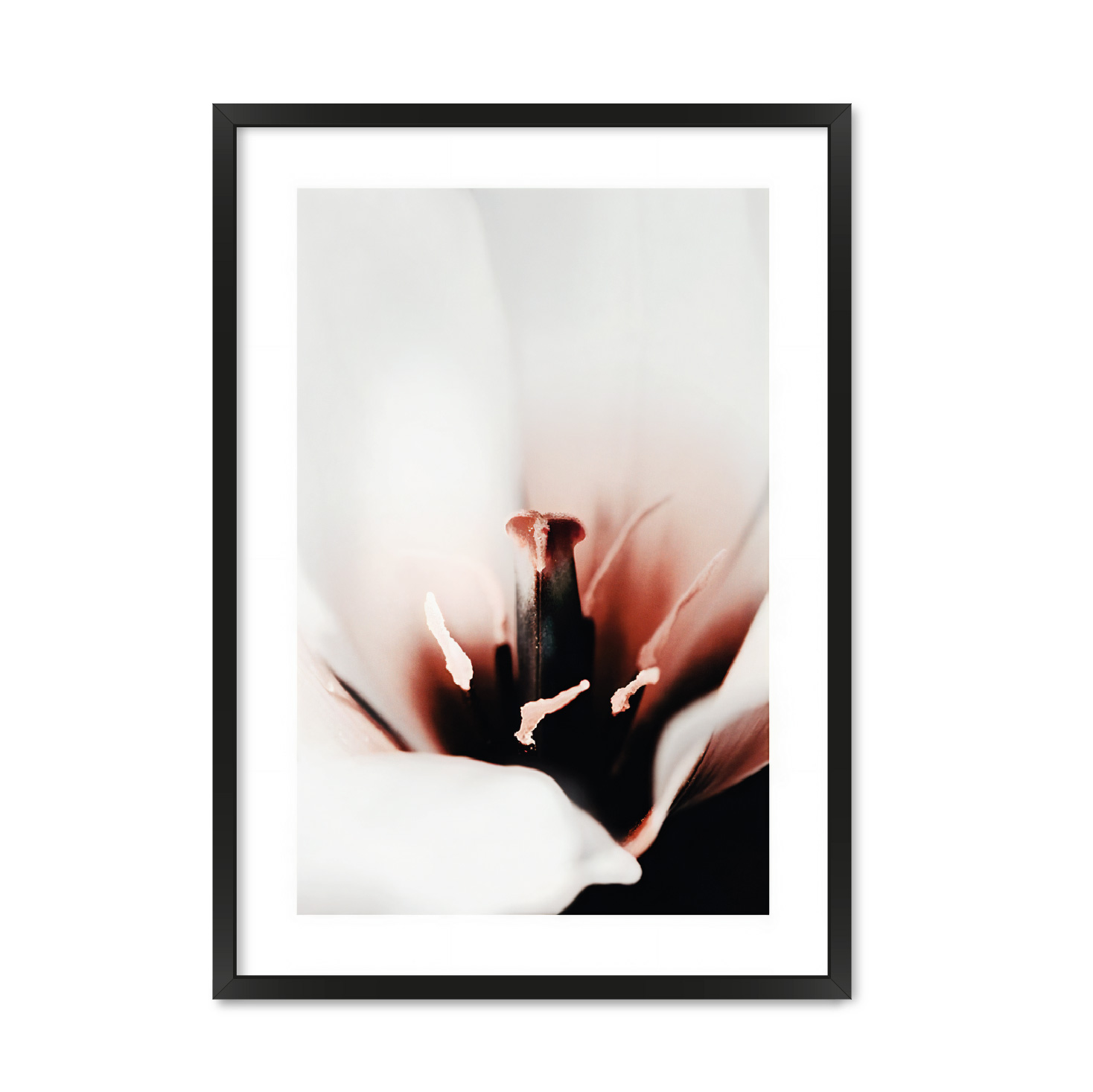 

Постер "EARTH FLOWER" без стекла 420x594 мм в чёрной рамке