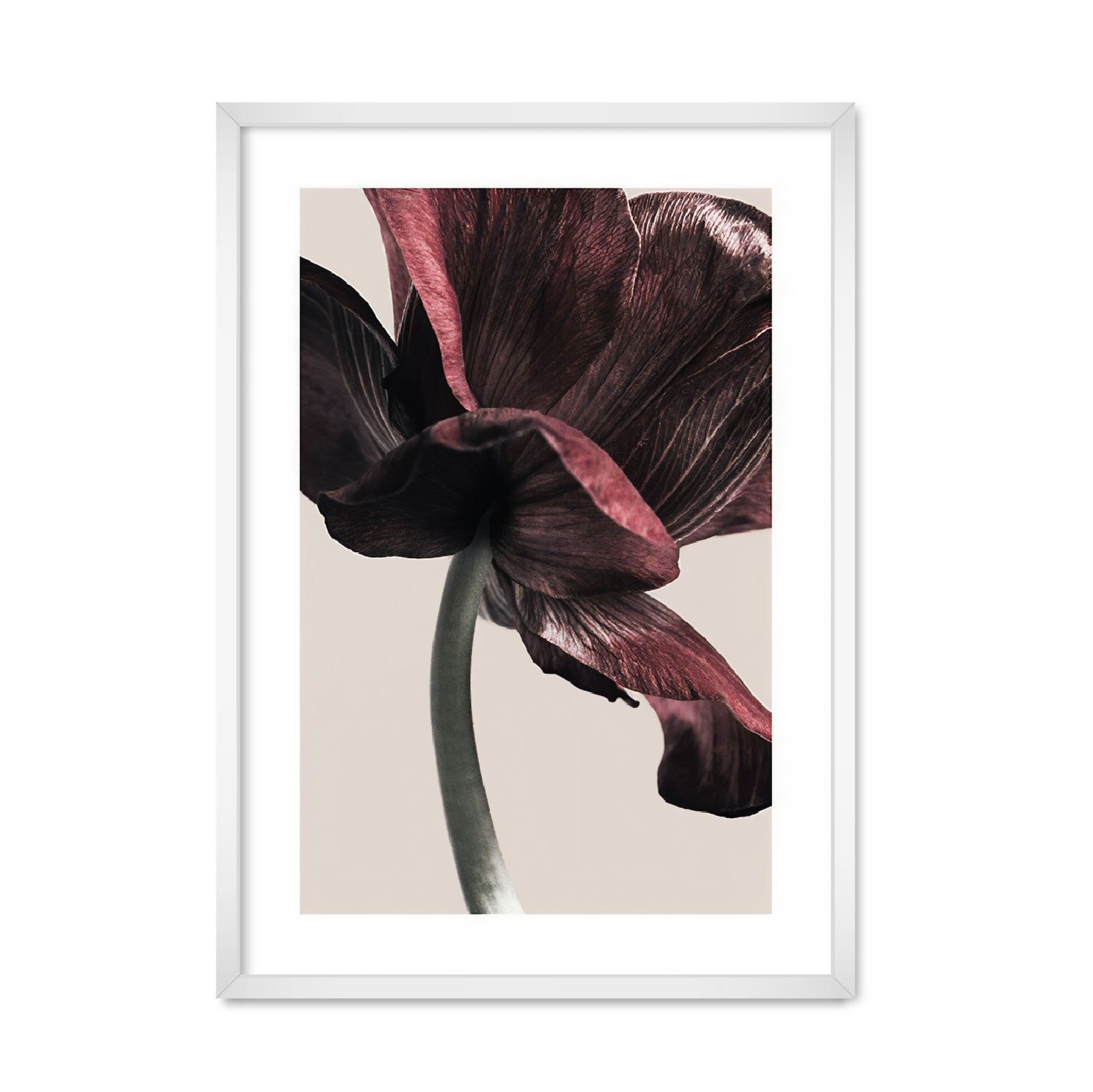 

Постер "EARTH FLOWER #" без стекла 596x840 мм в белой рамке